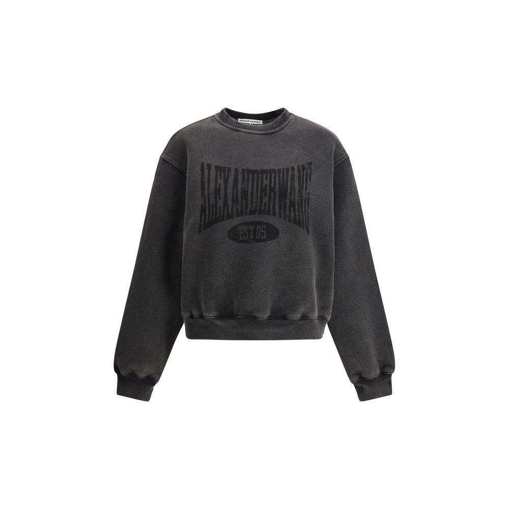 Alexander Wang Graphic Sweatshirt AL-4CC2251539020A-S