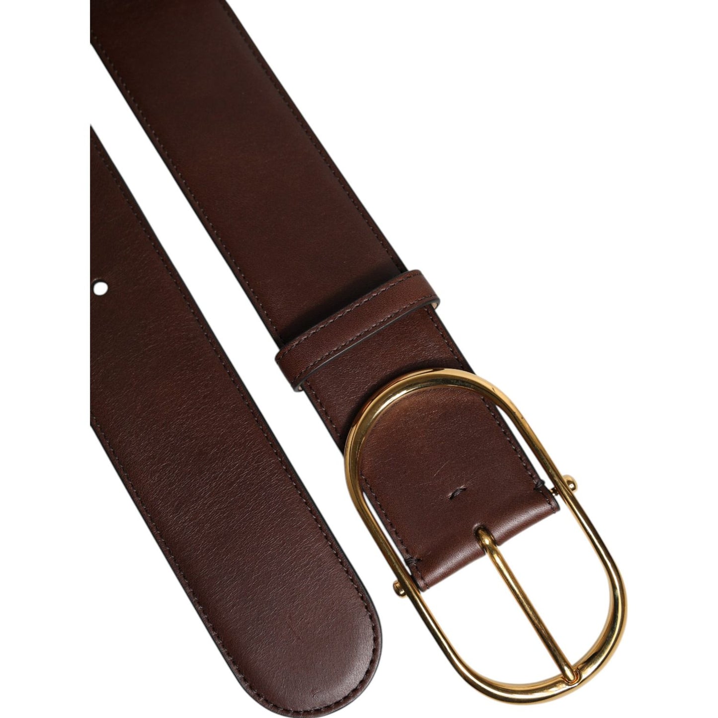 Dolce & Gabbana Brown Leather Waist Gold Metal Buckle Belt
