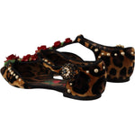 Dolce & Gabbana Floral Embellished Leopard T-Strap Sandals 1728,67345645728,Brown,Dolce & Gabbana,EU35/US4.5,Flat Shoes - Women - Shoes,Material: 100% Leather,New with tags,Women Dolce & Gabbana LA9956 - 35