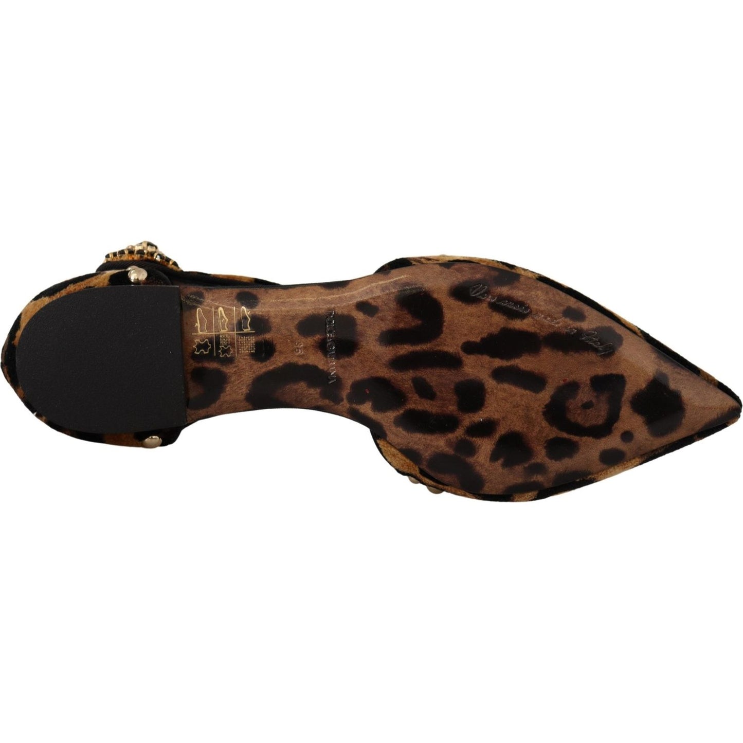 Dolce & Gabbana Floral Embellished Leopard T-Strap Sandals 1728,67345645728,Brown,Dolce & Gabbana,EU35/US4.5,Flat Shoes - Women - Shoes,Material: 100% Leather,New with tags,Women Dolce & Gabbana LA9956 - 35