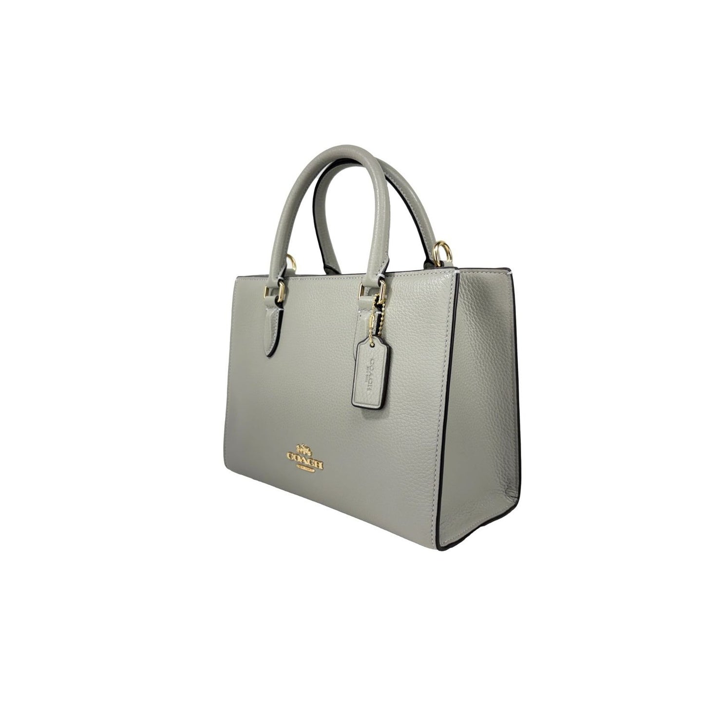 COACH Coach Maggie Small Leather Crossbody Tote Bag