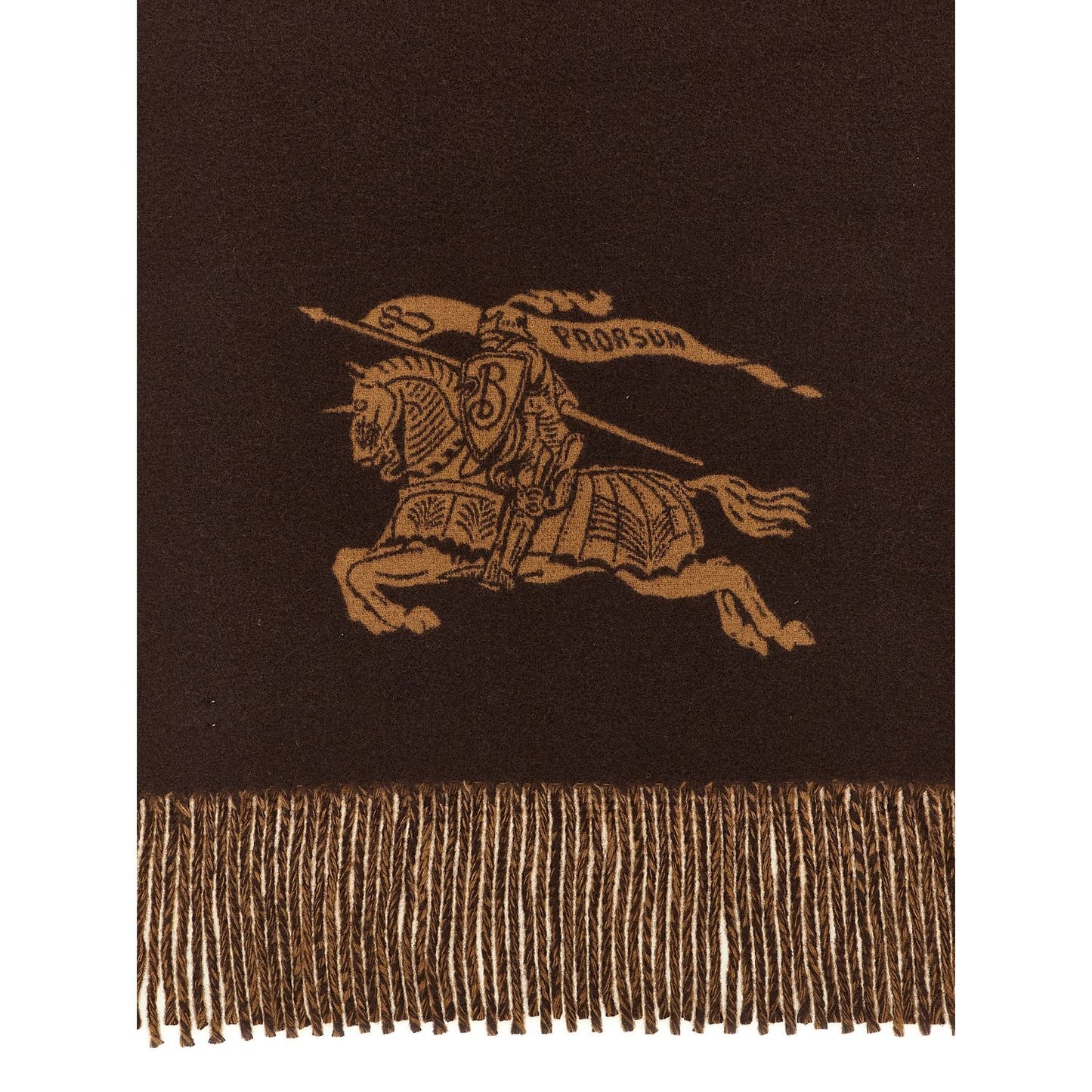 Burberry Multicolor Cashmere Scarf