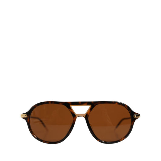 Dolce & Gabbana Brown DG4343F Havana Tortoise Women Eyewear Sunglasses