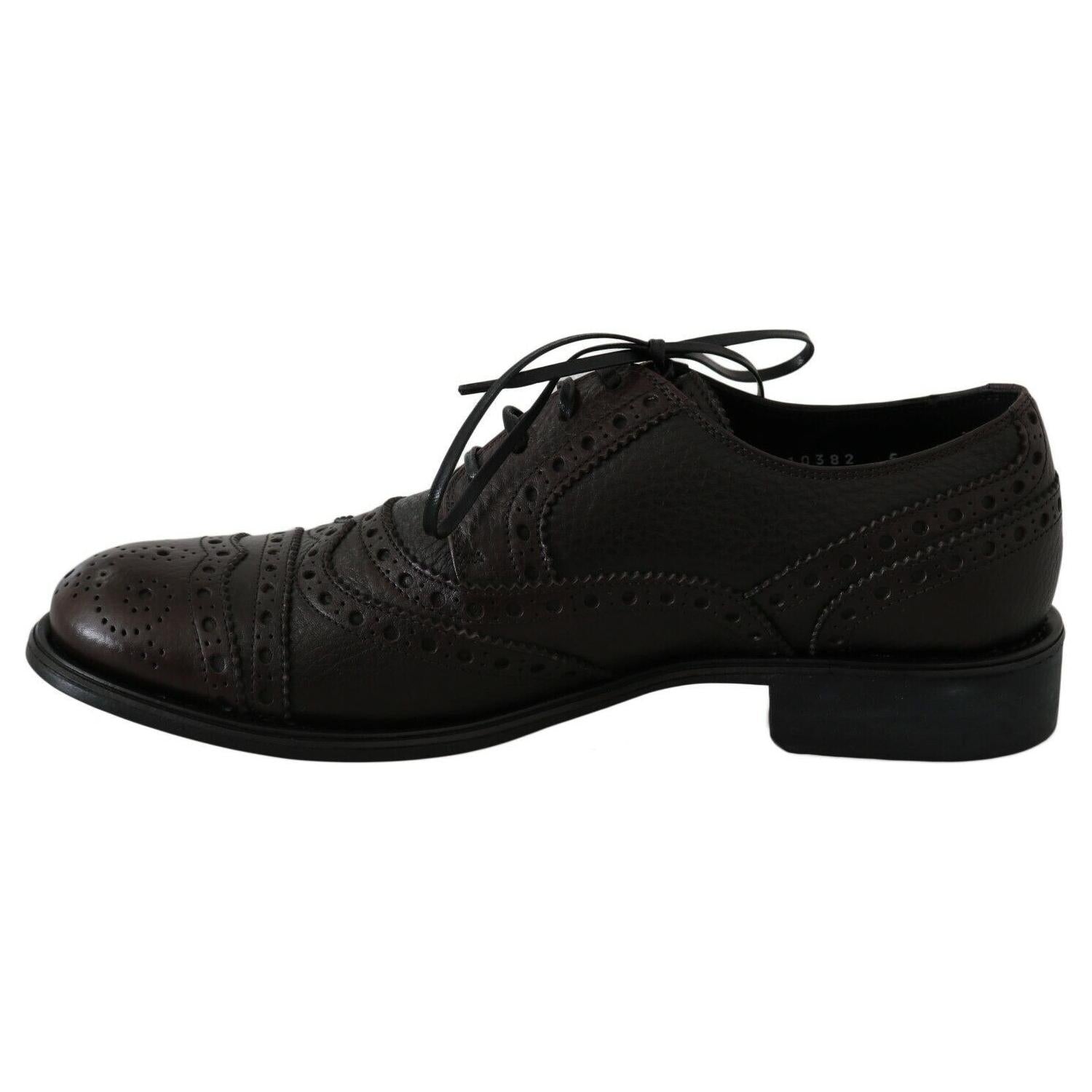 Dolce & Gabbana Brown Leather Wingtip Derby Formal Shoes
