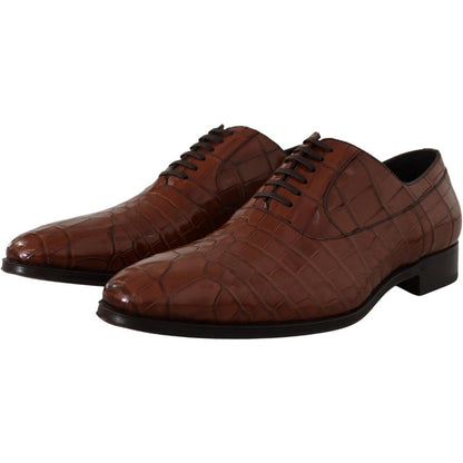 Dolce & Gabbana Brown Crocodile Leather Mens Formal Derby Shoes