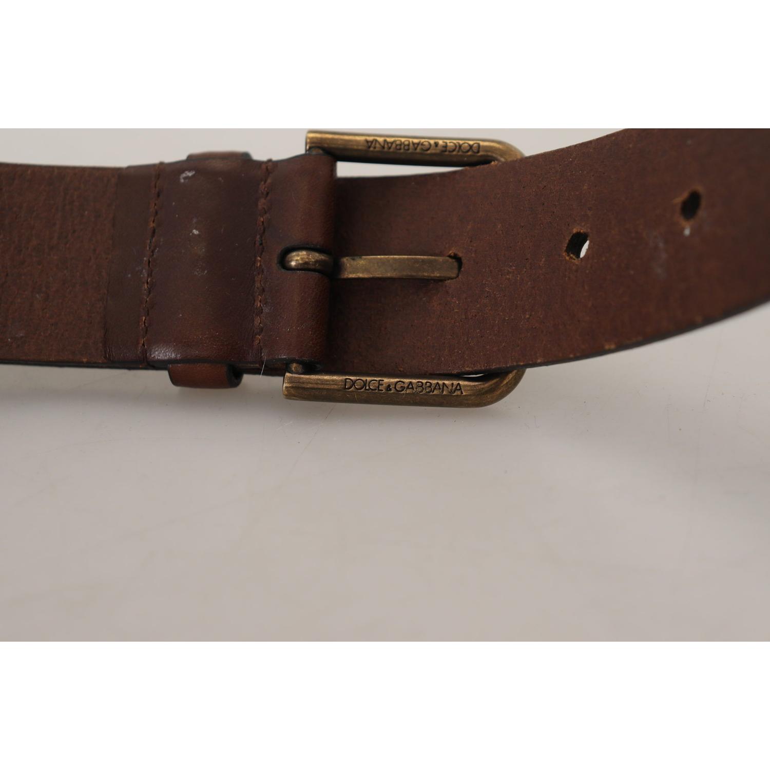 Dolce & Gabbana Brown Leather Gold Metal Buckle Carabiner Belt