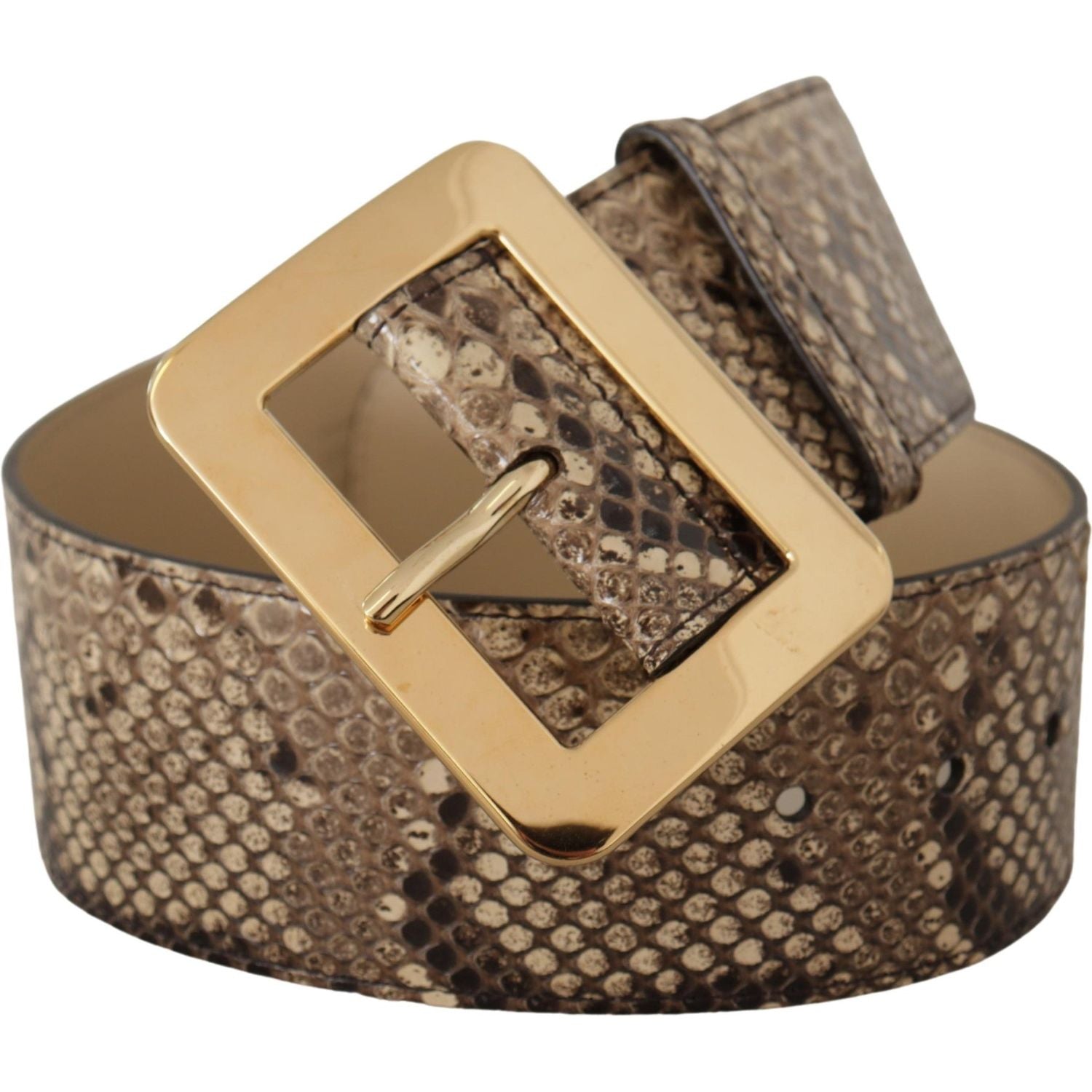Dolce & Gabbana Brown Exotic Wide Waist Leather Gold Metal Buckle Belt