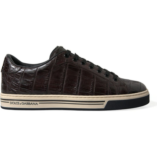 Dolce & Gabbana Brown Croc Exotic Leather Men Casual Sneakers Shoes MV5413-39