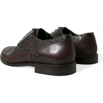 Dolce & Gabbana Brown Exotic Leather Lace Up Oxford Dress Shoes
