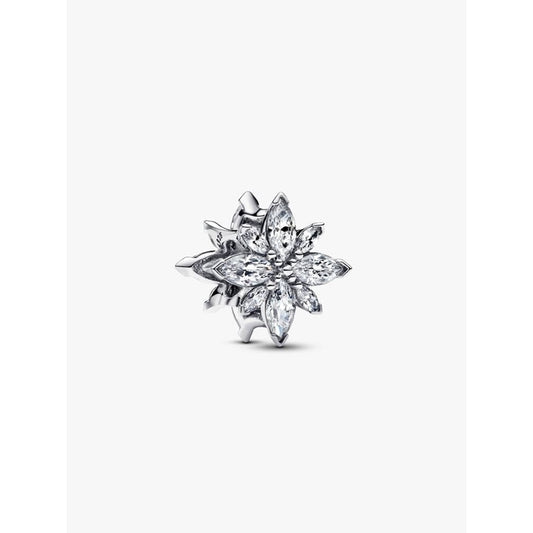 PANDORA Mod. 793591C01-0