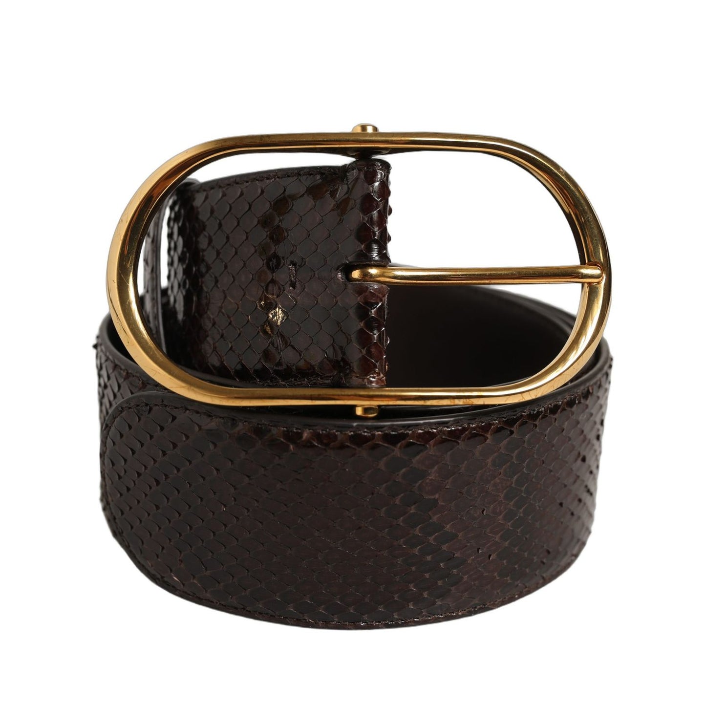 Dolce & Gabbana Brown Python Leather Gold Metal Buckle Belt